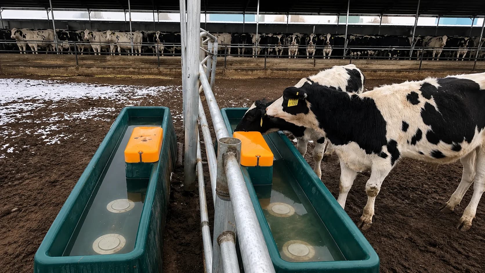 Troughs in sub-zero temperatures